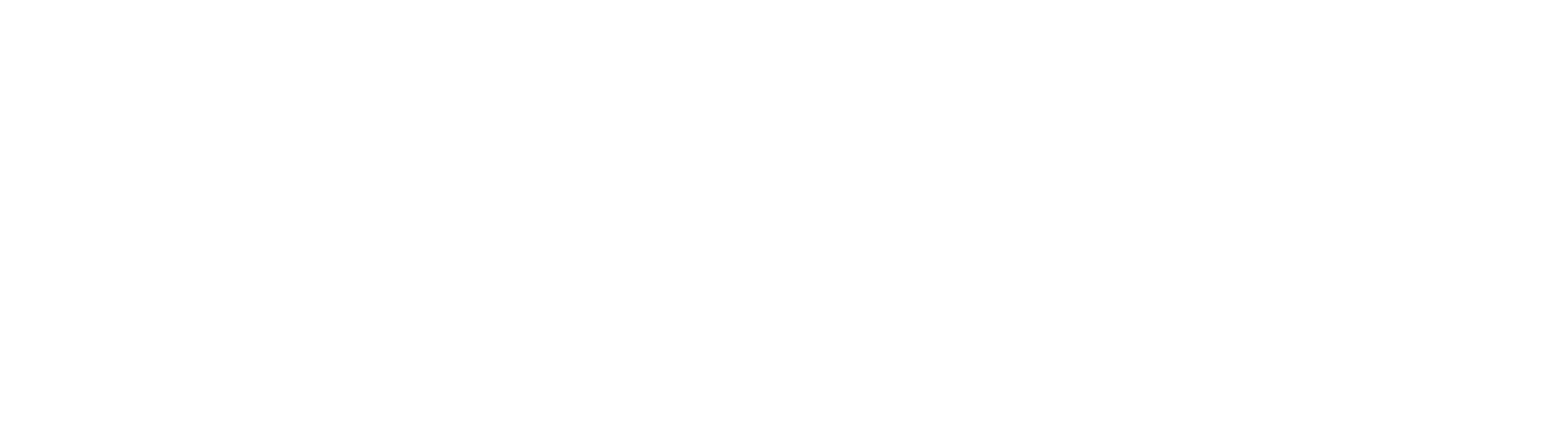 Xero Silver Partner